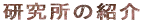 �����Ɛ� 